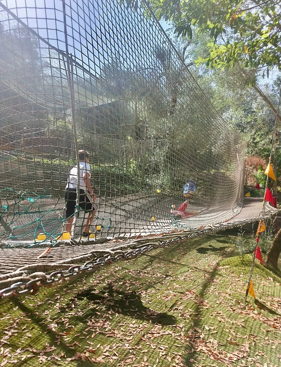 Rete Sospesa al Villaggio Bushi