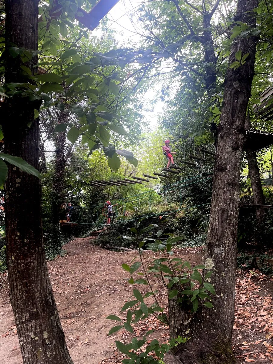 Percorso arancione ponte sospeso tra alberi