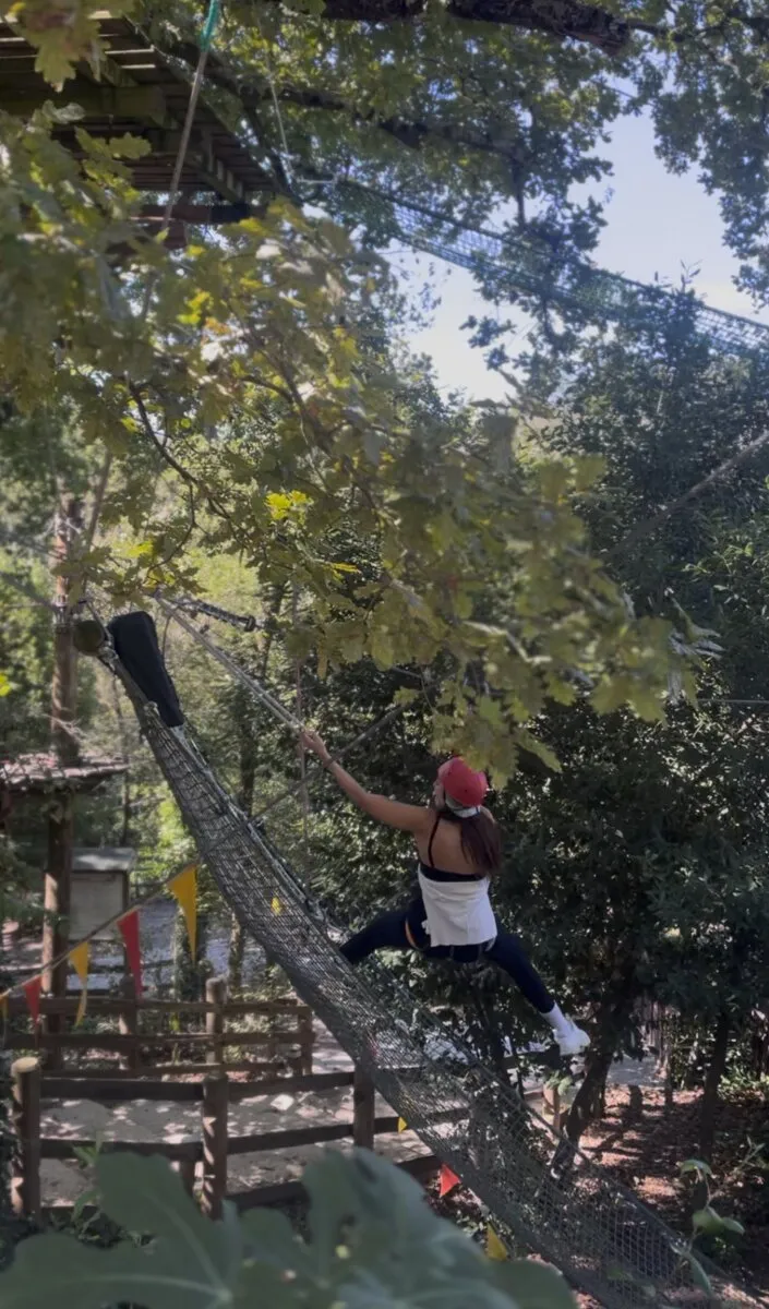 Percorso blu zipline tra alberi