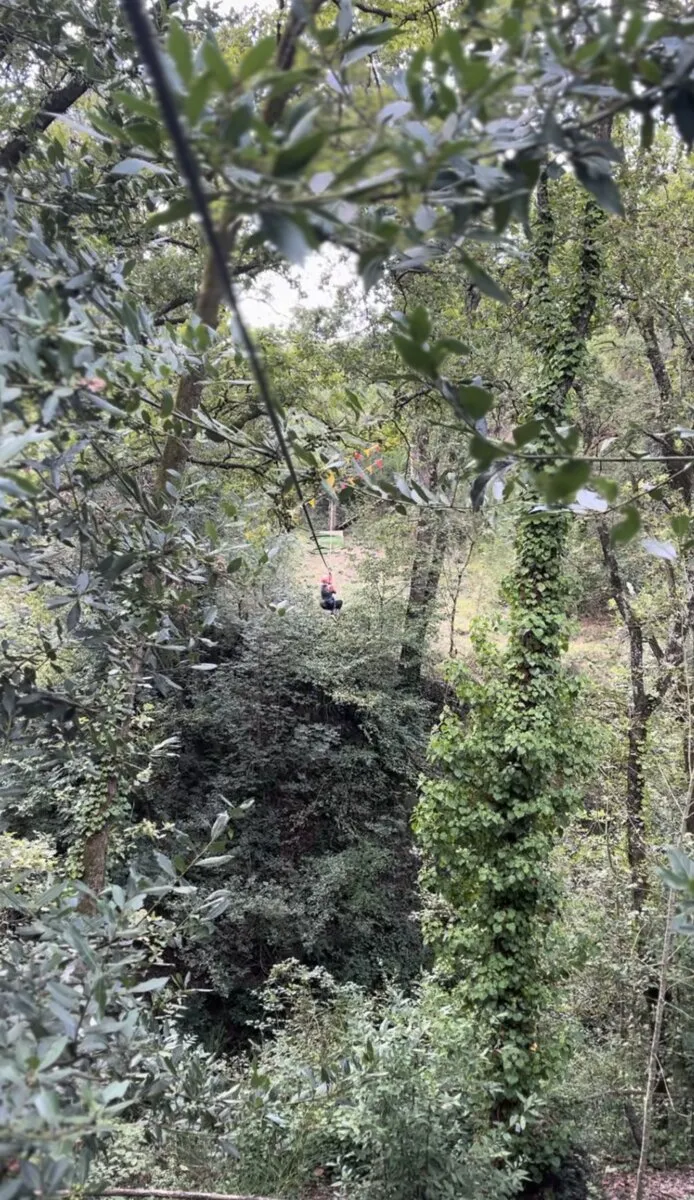 Percorso nero cavo zipline bosco