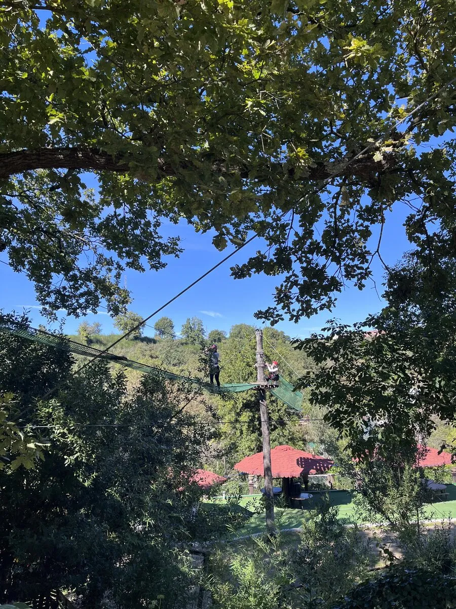 Percorso verde zipline tra alberi